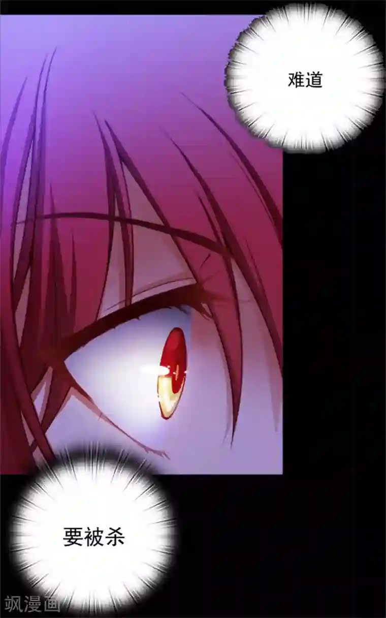 阿多尼斯第11话 遭遇暗杀