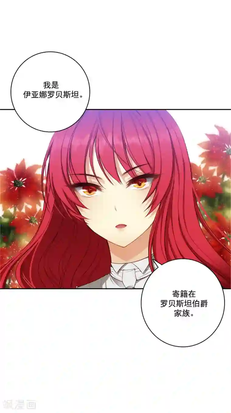 阿多尼斯第35话 穿珠子比赛