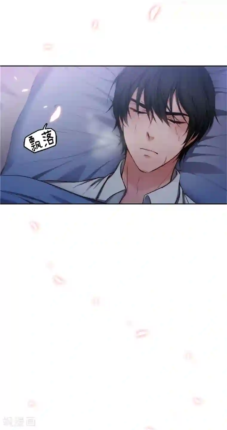 阿多尼斯第84话 秘密会面