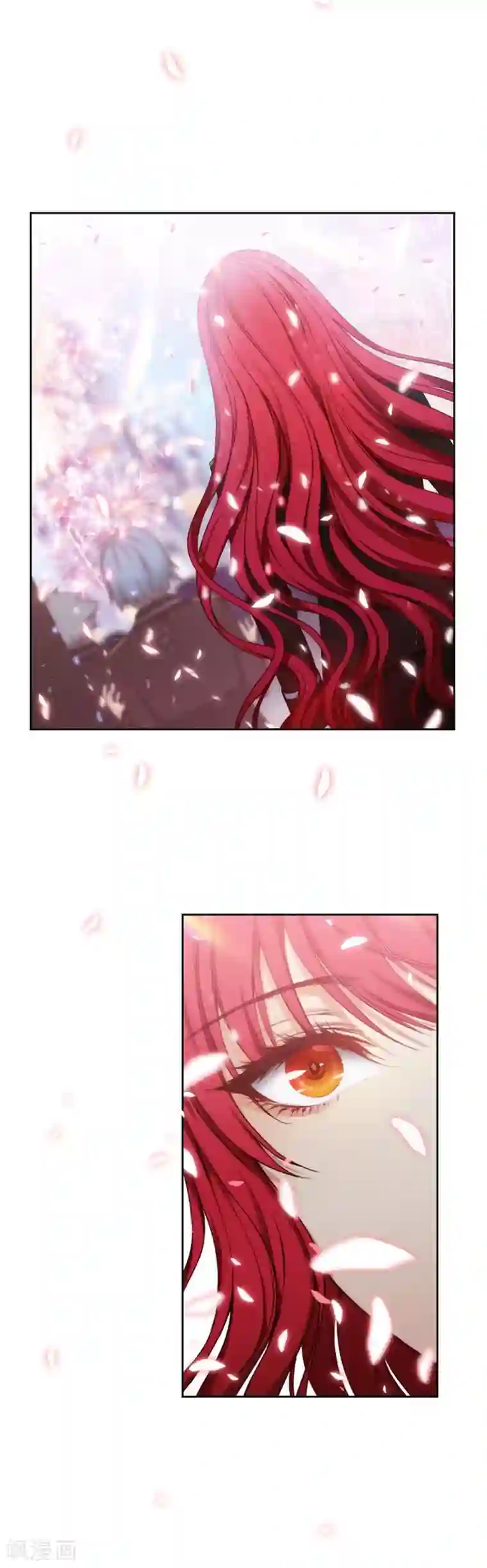 阿多尼斯第84话 秘密会面