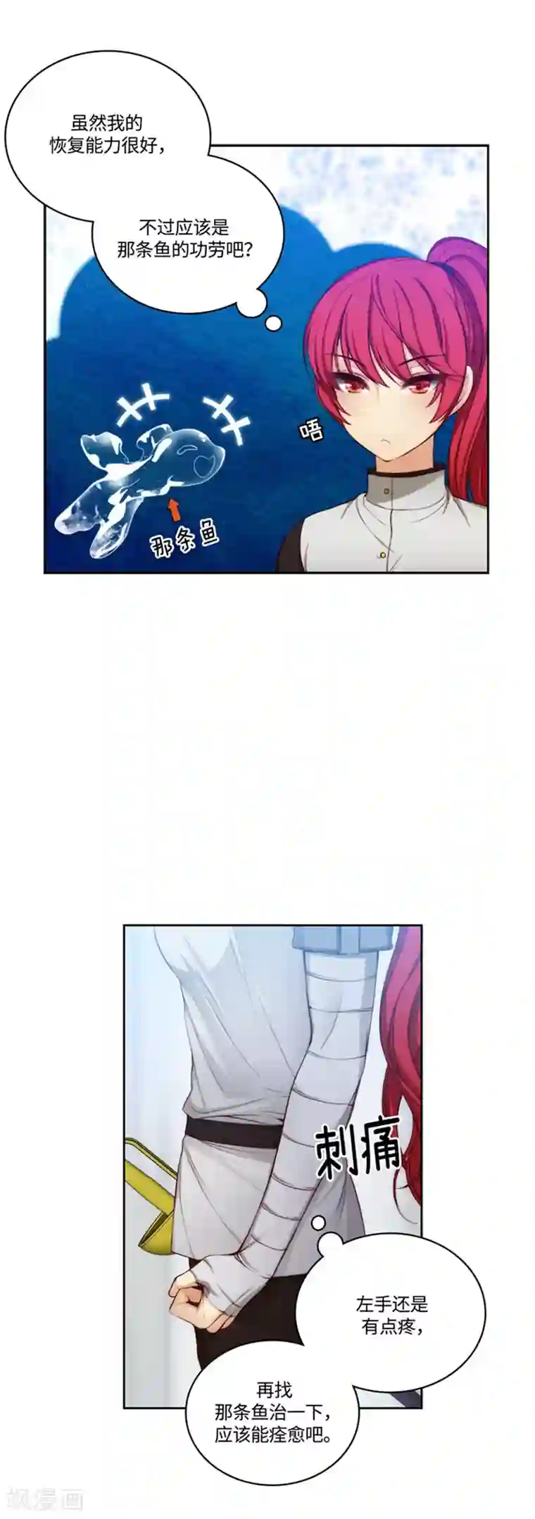 阿多尼斯第90话 形形色色的学术院