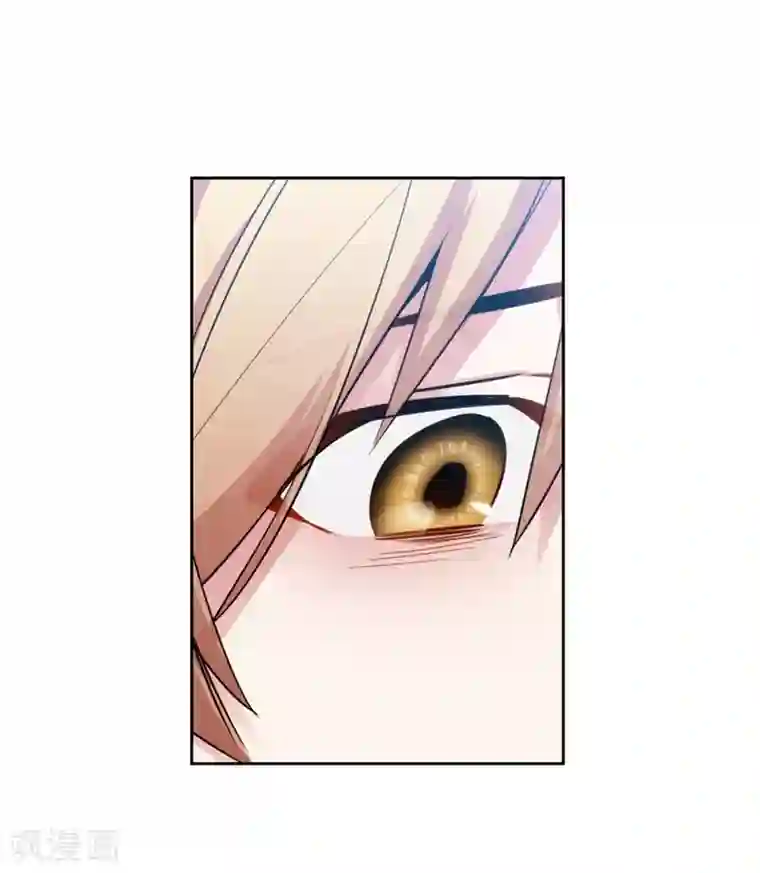 阿多尼斯第138话 不会再去了…