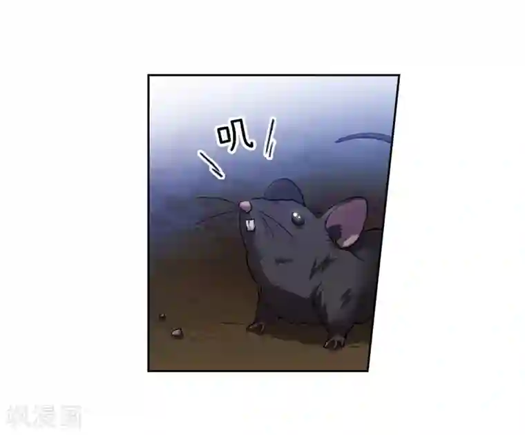 阿多尼斯第148话 白色假面