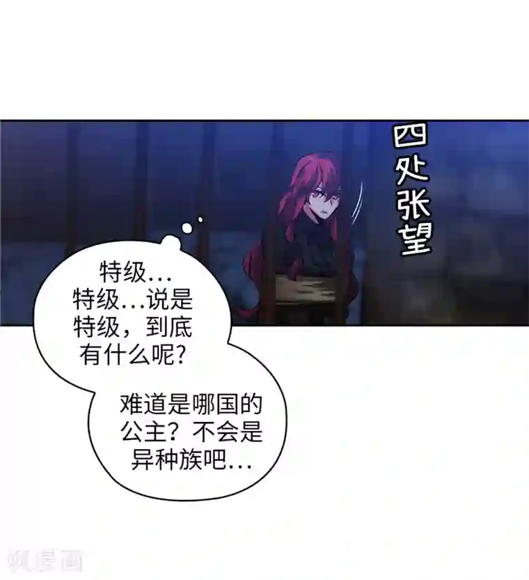 阿多尼斯第151话 成功潜入