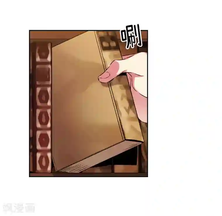 阿多尼斯第173话 放假的安排