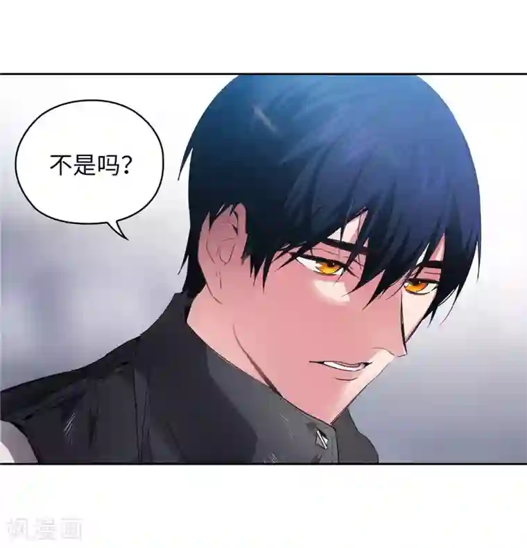 阿多尼斯第177话 很中意你