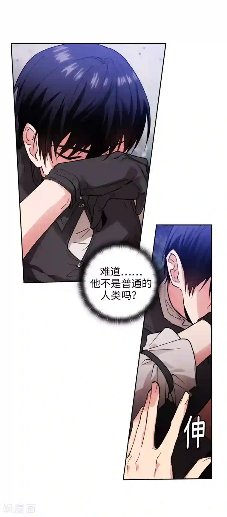 阿多尼斯第200话 他到底是什么身份？