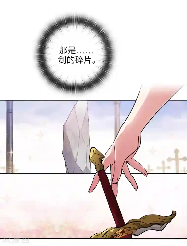 阿多尼斯第212话 那是剑的碎片？！