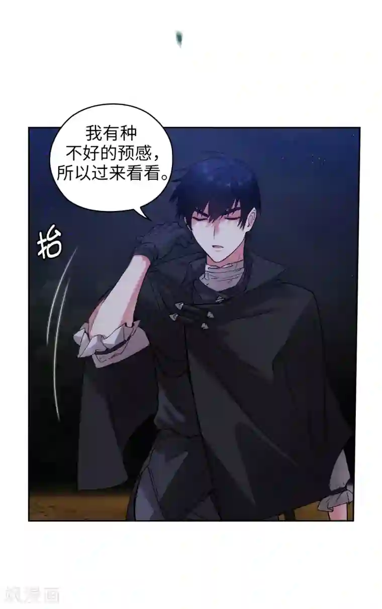 阿多尼斯第219话 你是在担心我吗？