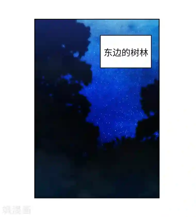 阿多尼斯第231话 真正的他
