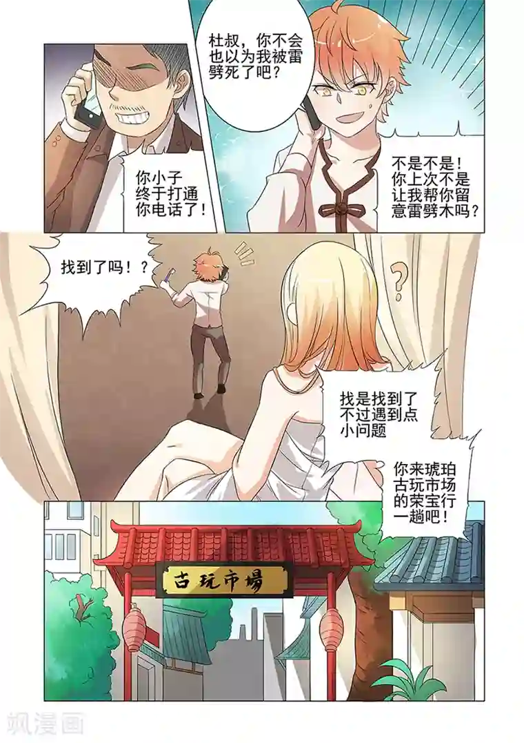 极品相师第45话 法器雷劈木