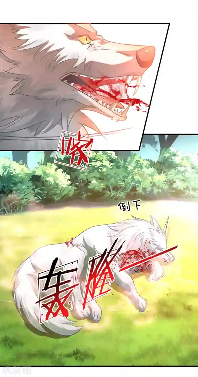 逆天剑神第44话 取狼王角，炼凝血丹