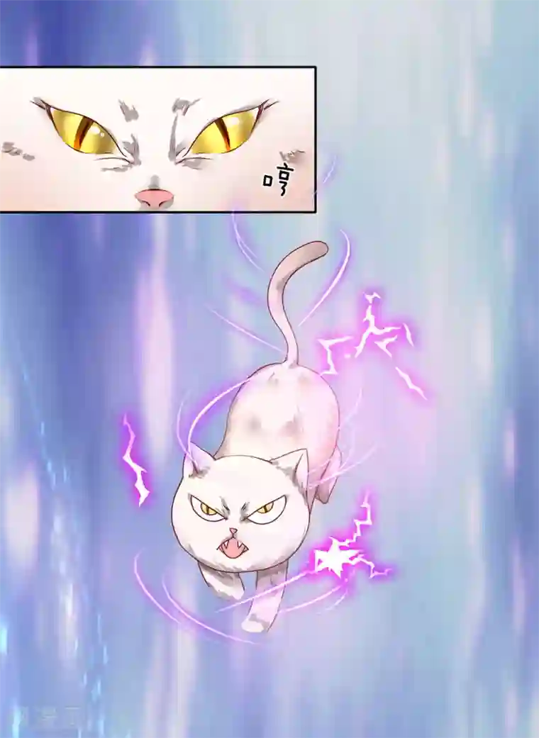 逆天剑神第91话 白猫化形， 震慑四方