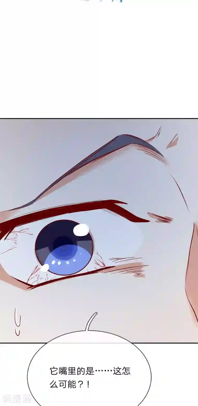 逆天剑神第91话 白猫化形， 震慑四方