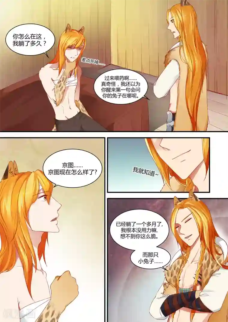 狂野之心第11话