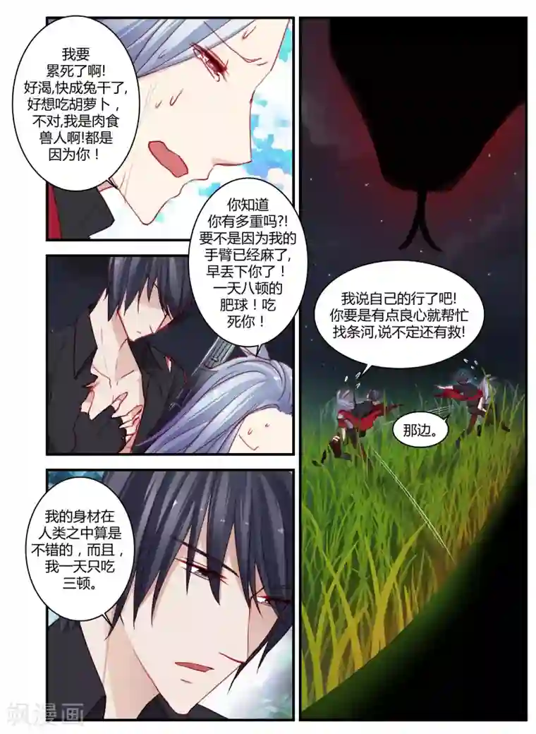 狂野之心第23话