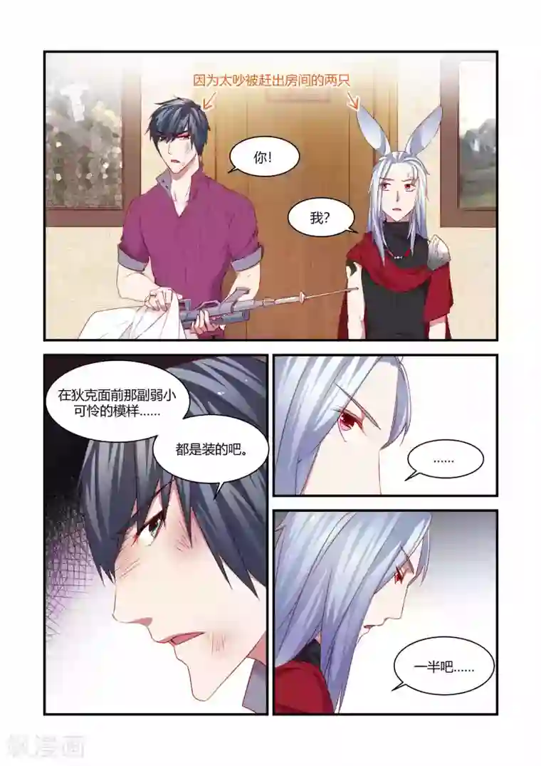 狂野之心第41话