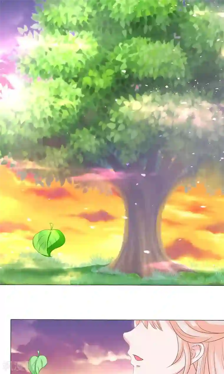 狐妖传第9话 情不知所起