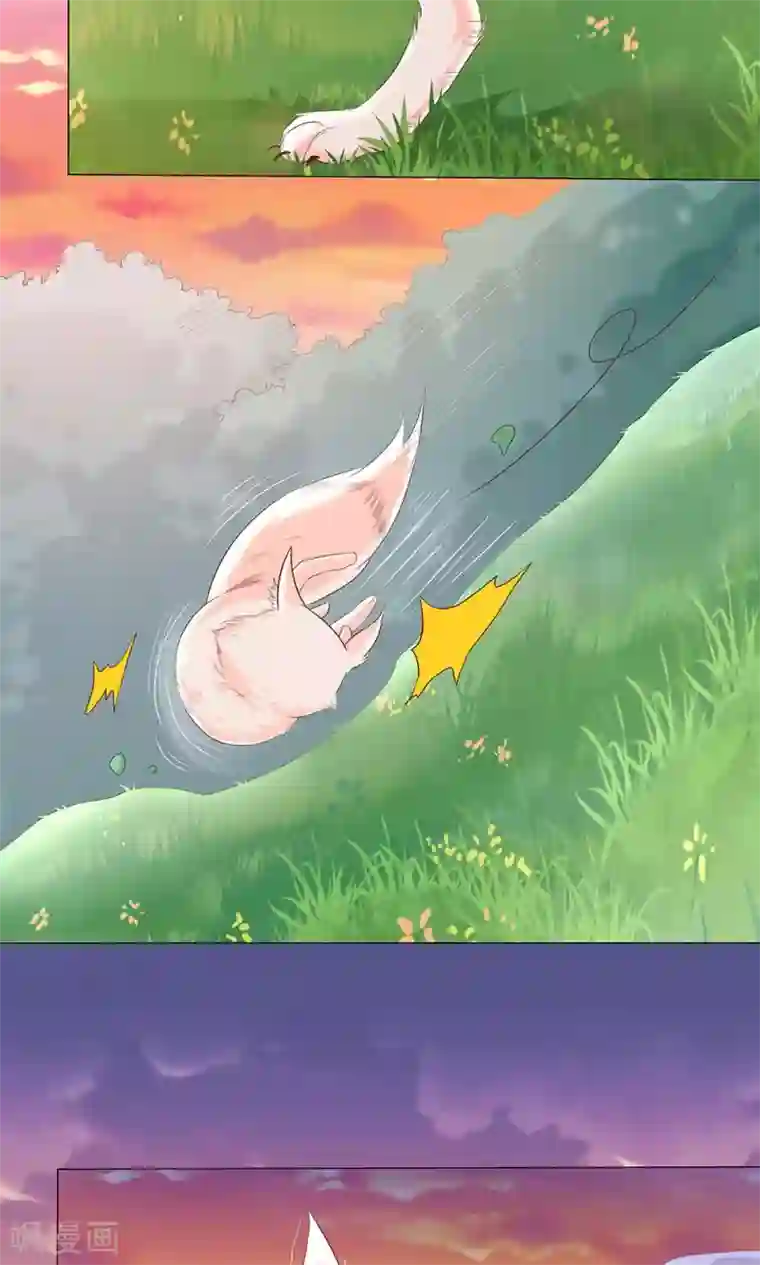 狐妖传第9话 情不知所起