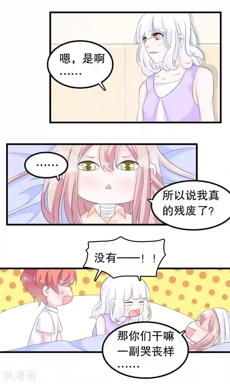 秘密教学子豪徽亚41话