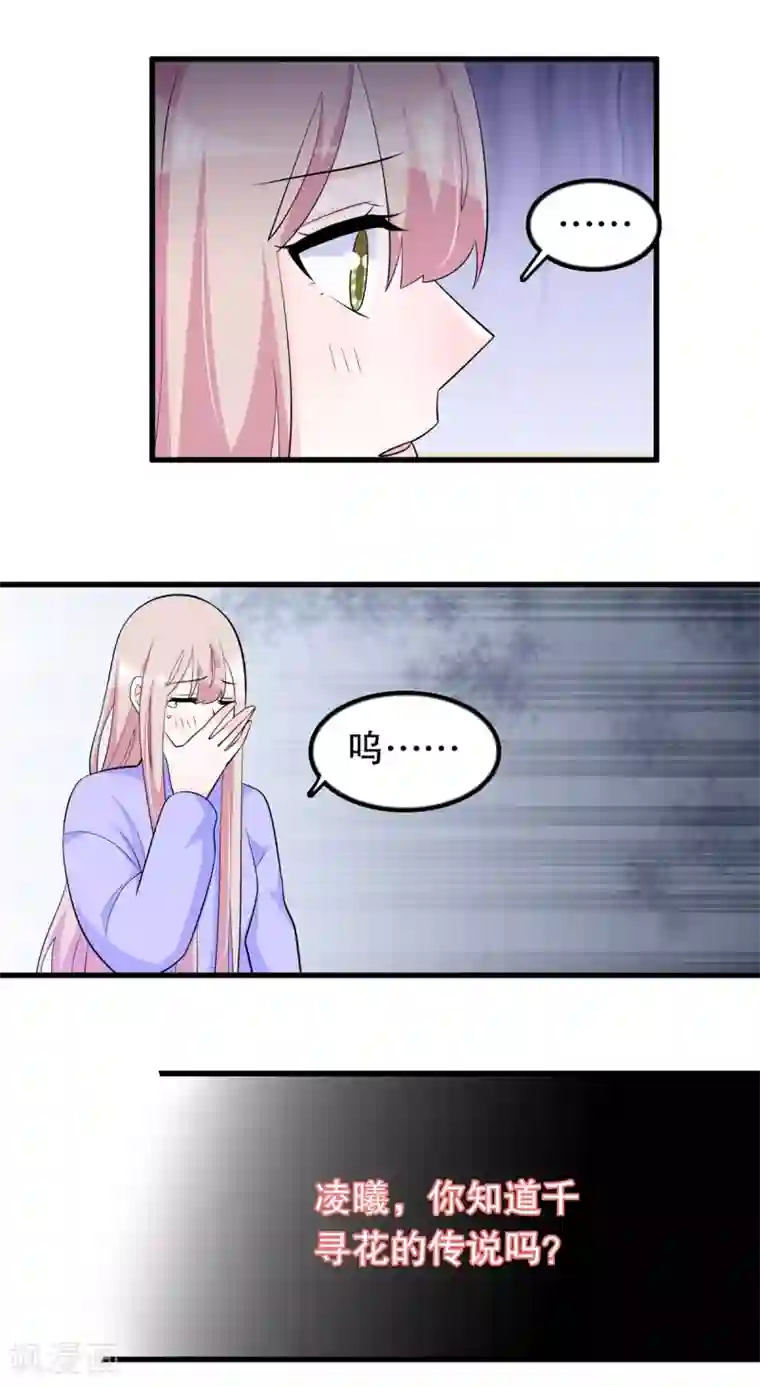 我原来是个病娇第180话 千寻花