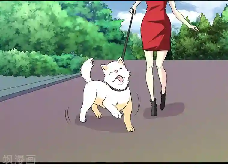 就想要个女朋友第229话 扛雷