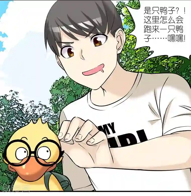 就想要个女朋友第373话 你好鸭1