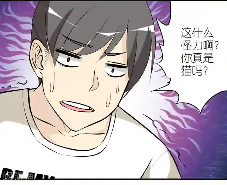 就想要个女朋友第382话 宠物2