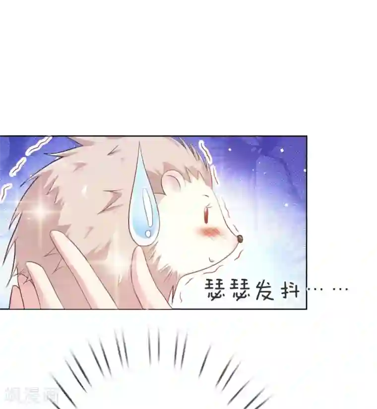 温柔暴君：朕被摄政王爷盯上了第5话 刺猬—本命护体