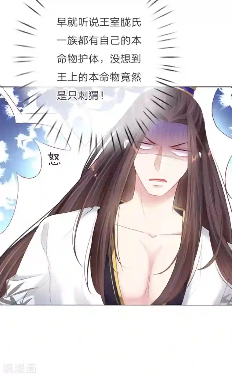 温柔暴君：朕被摄政王爷盯上了第5话 刺猬—本命护体