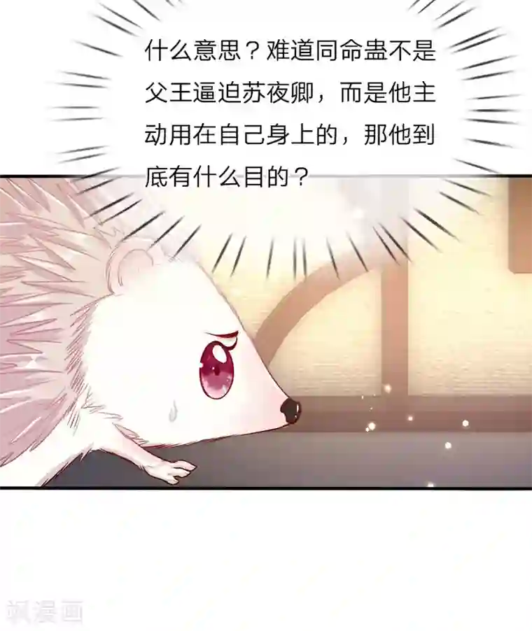 温柔暴君：朕被摄政王爷盯上了第42话 下半“生”的幸福