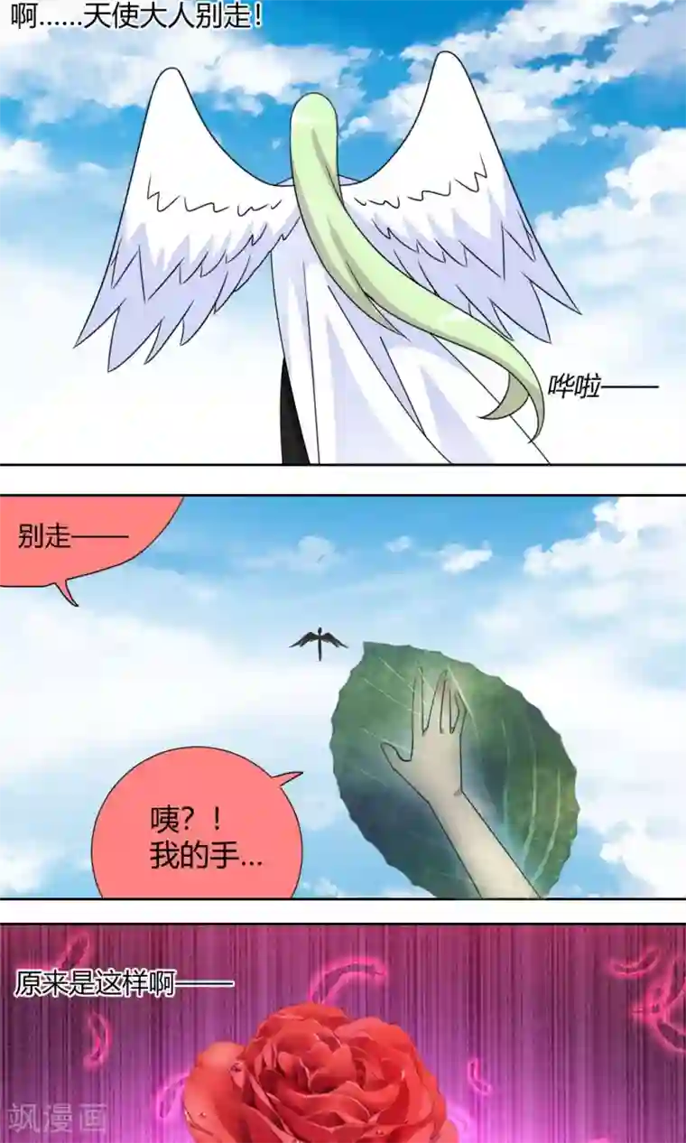 吸血鬼邻居第58话 天使大人