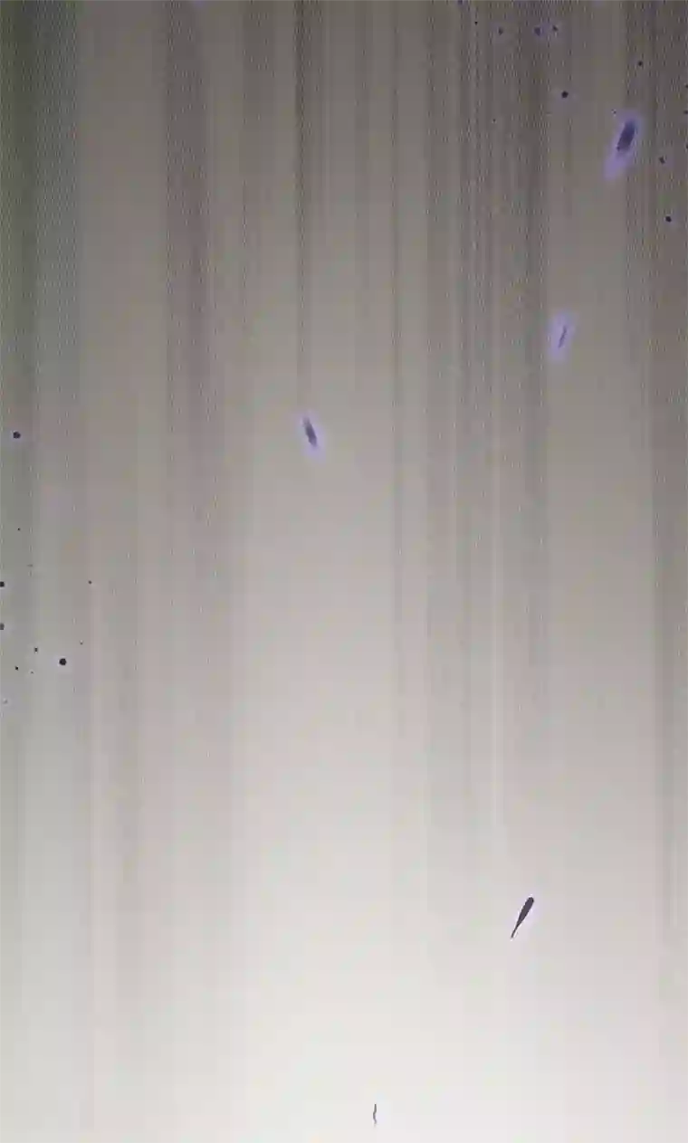 猎影少年第54话