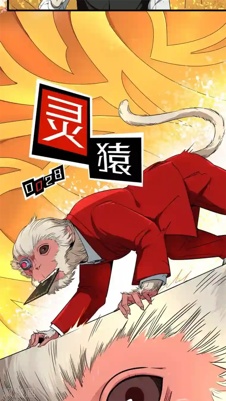 捡到一个女杀手第19话