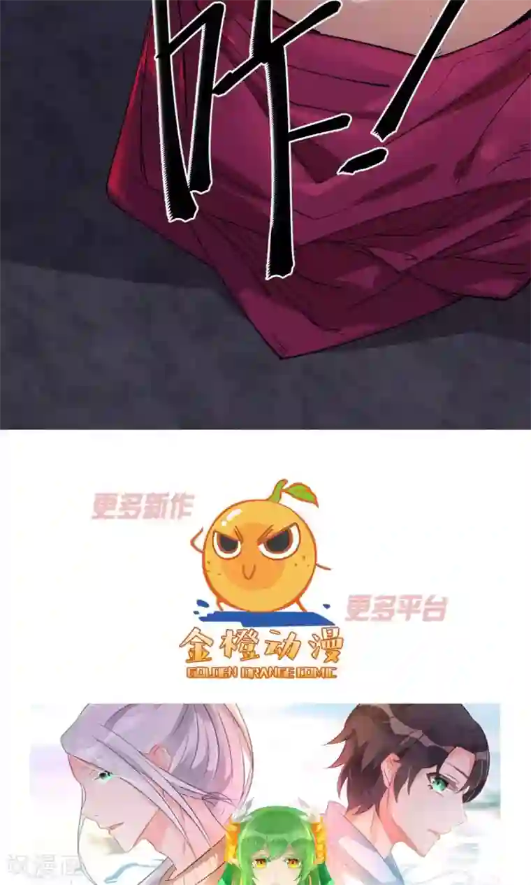 捡到一个女杀手第39话