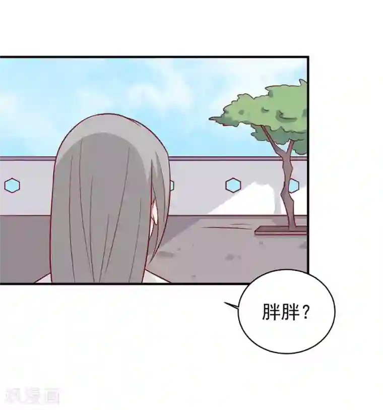 王爷，奴家减个肥第125话 胖胖不见了