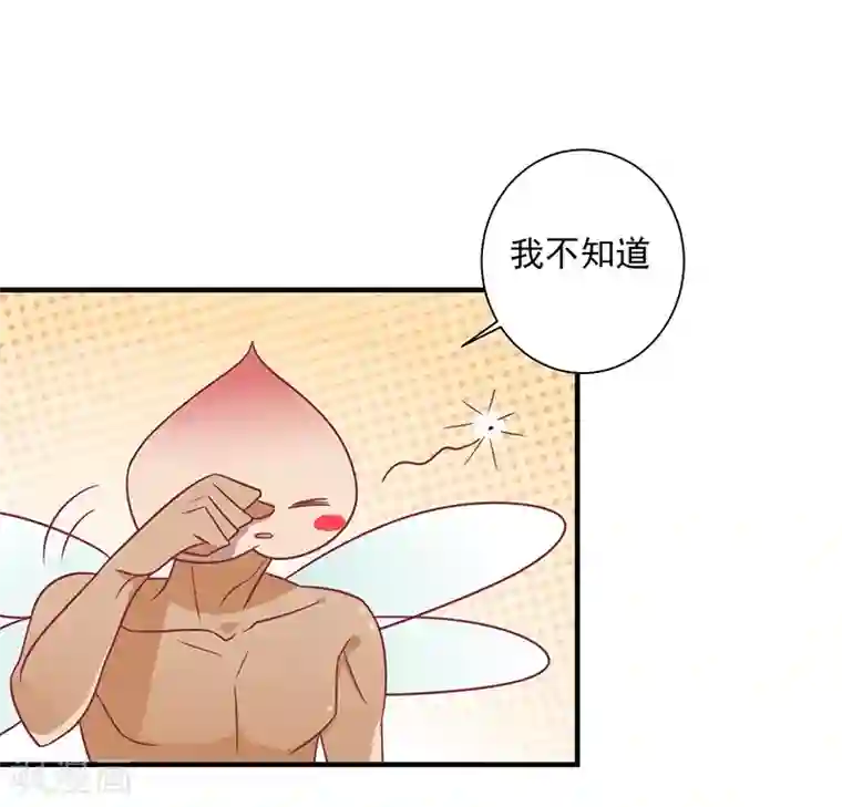 王爷，奴家减个肥第36话 另一个系统