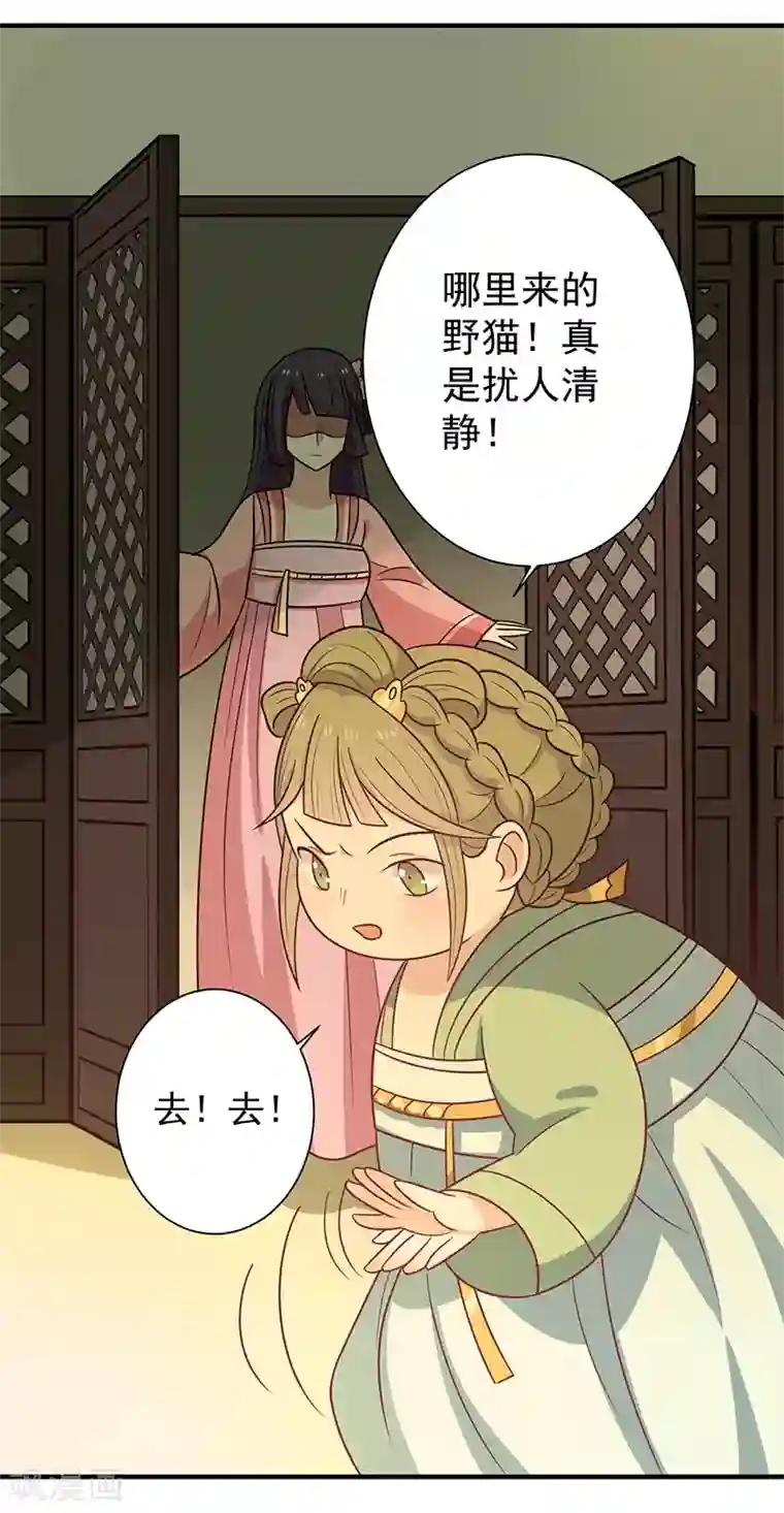 王爷，奴家减个肥第43话 万蛊谷