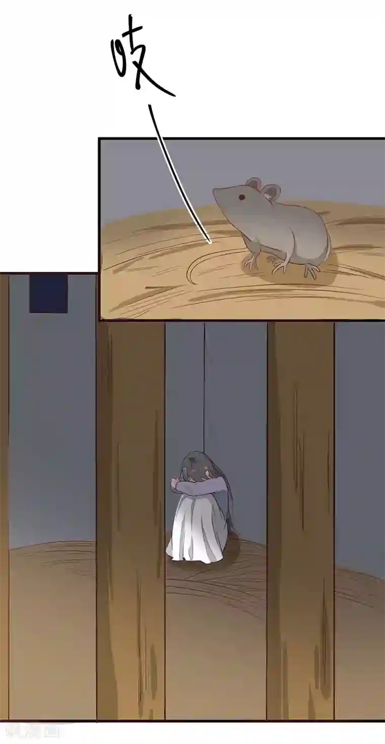 王爷，奴家减个肥第50话 巫毒娃娃