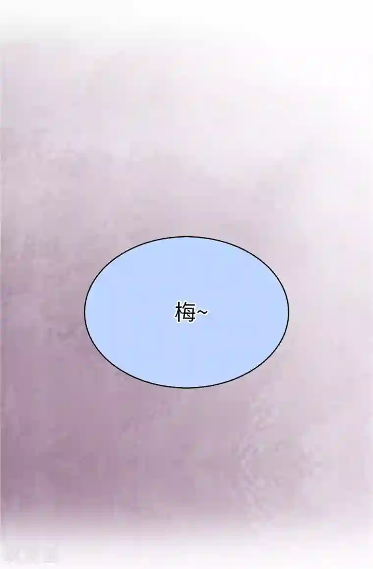 皇子的天降未婚妻第10话 政治联姻