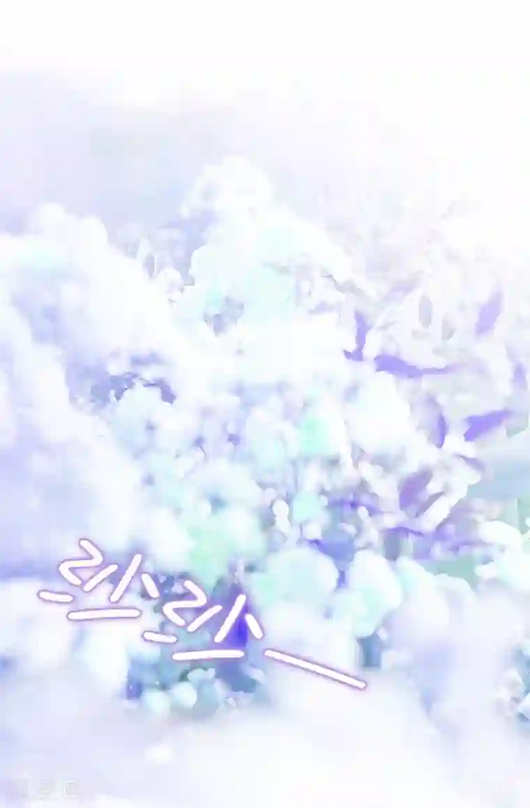 皇子的天降未婚妻第37话 好美的花海