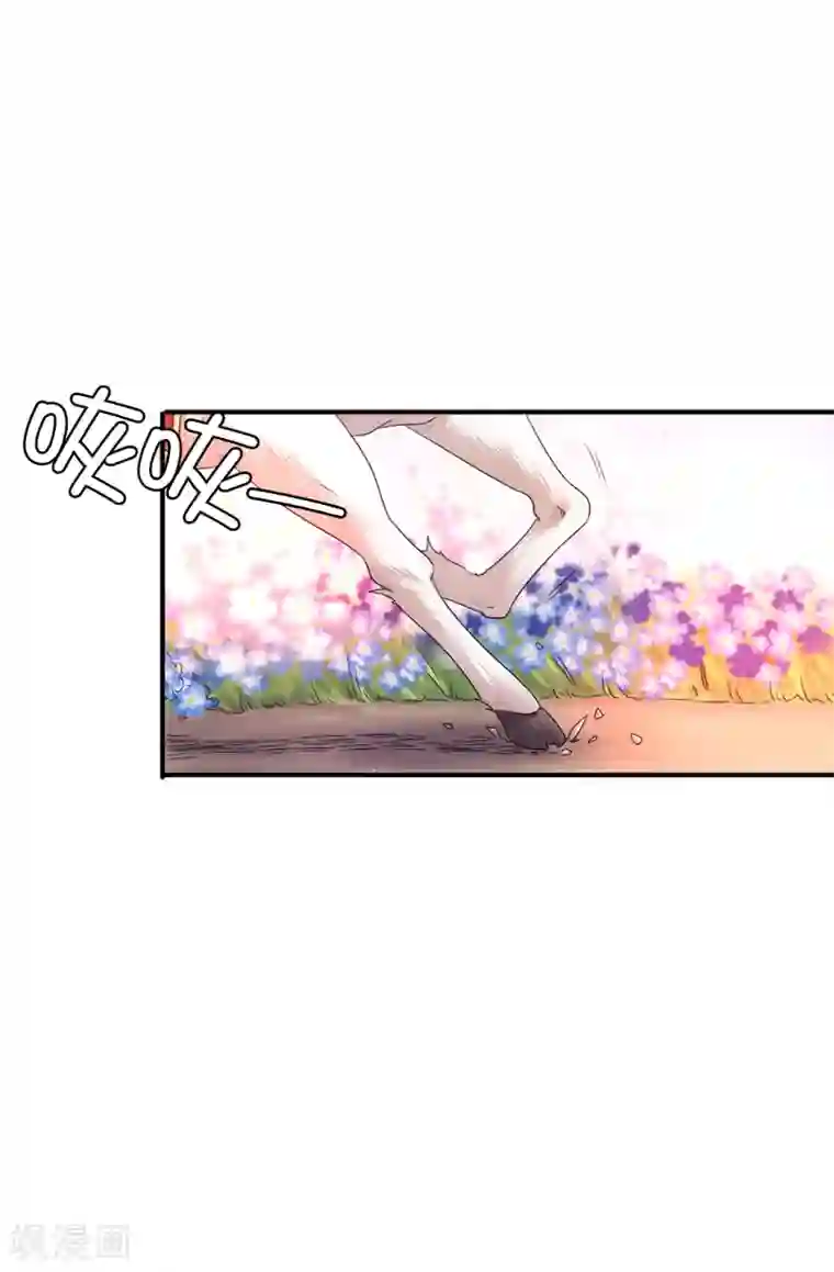 皇子的天降未婚妻第37话 好美的花海