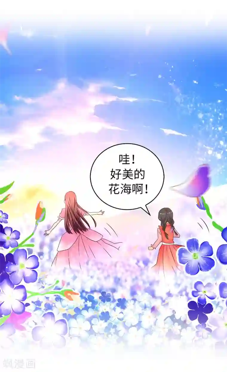 皇子的天降未婚妻第37话 好美的花海