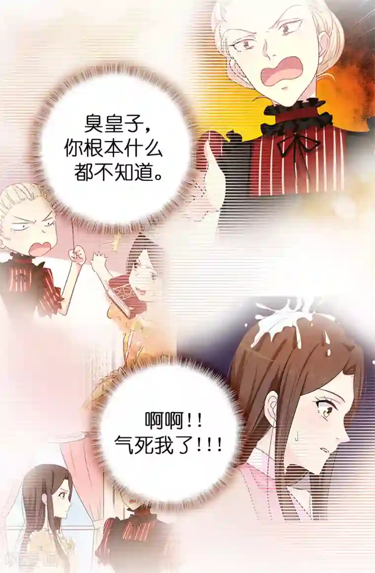 皇子的天降未婚妻第38话 皇子妃的能力