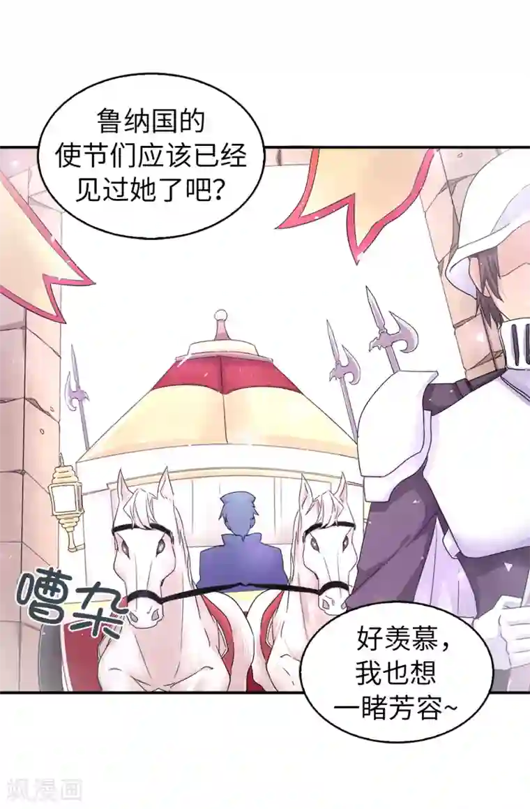 皇子的天降未婚妻第38话 皇子妃的能力