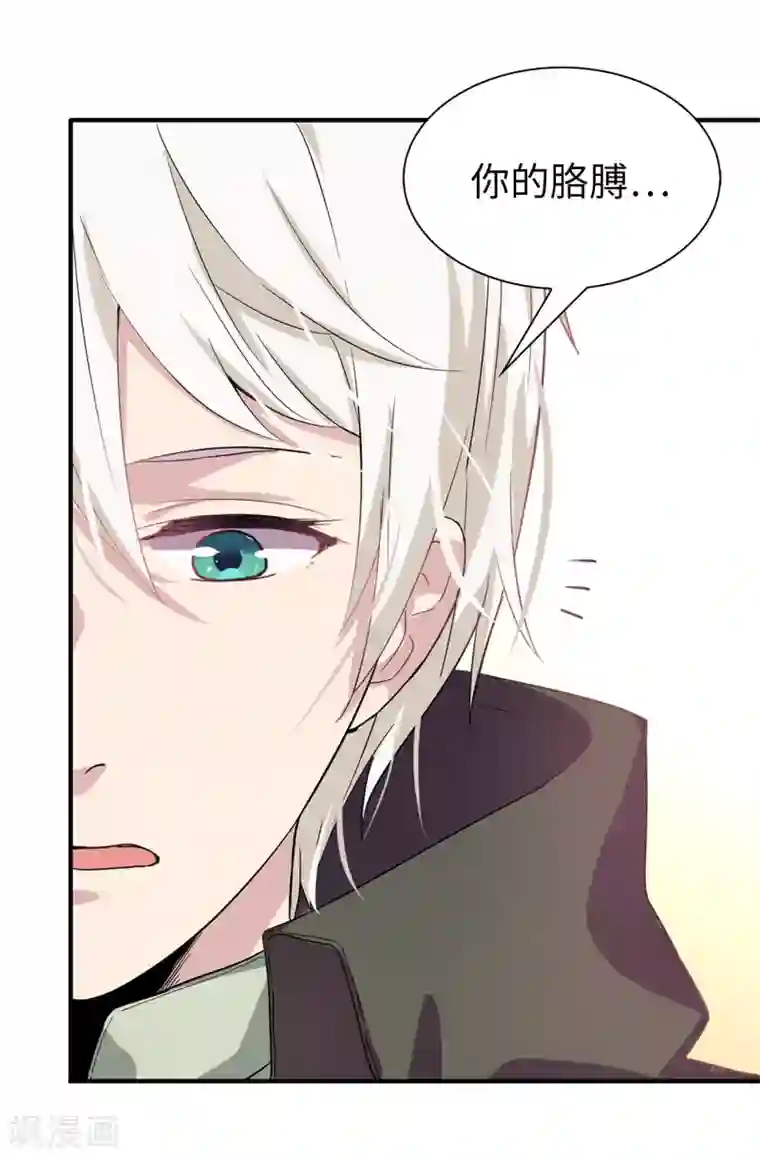 皇子的天降未婚妻第53话 母子间的密谋