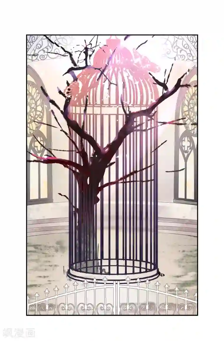 皇子的天降未婚妻第59话 寻找两全其美的办法