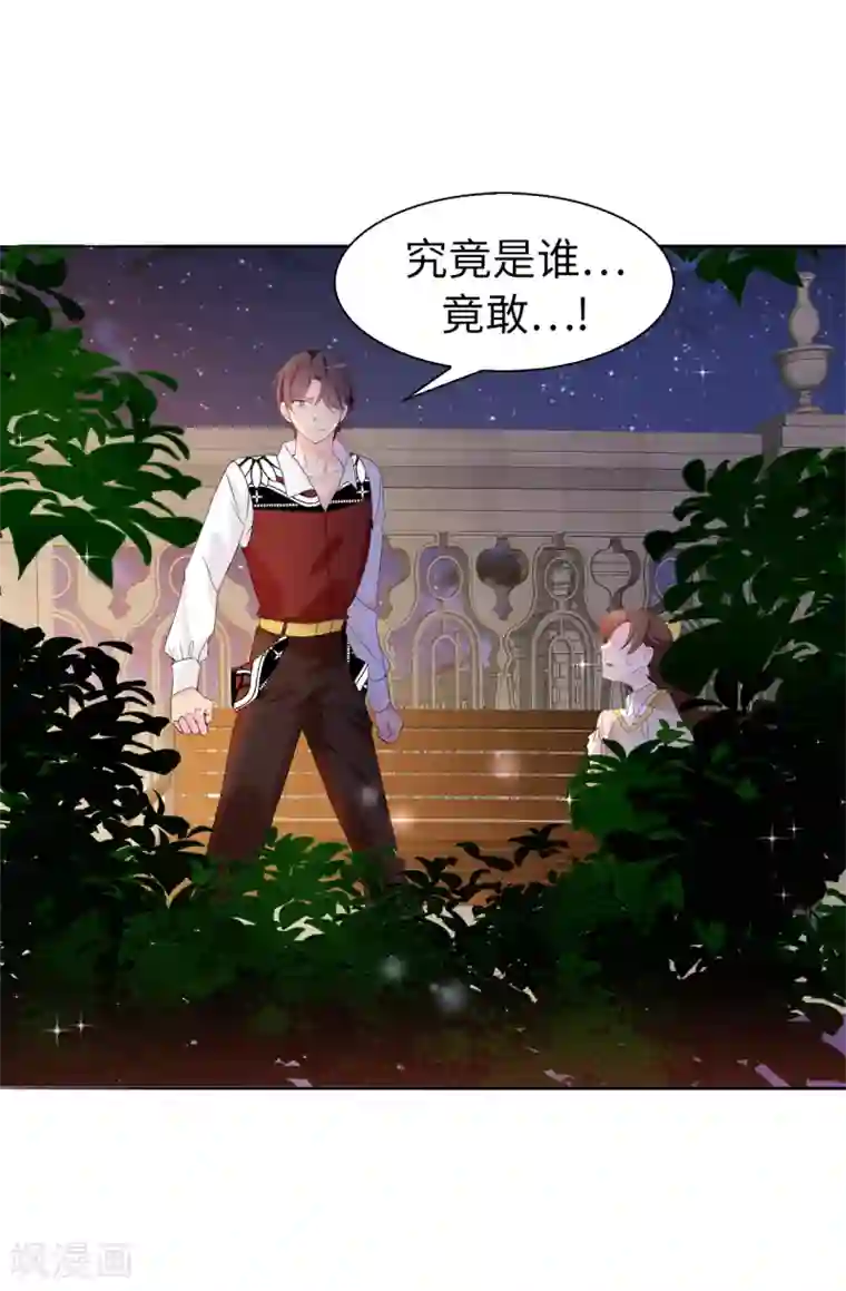 皇子的天降未婚妻第99话 遭遇暗杀!