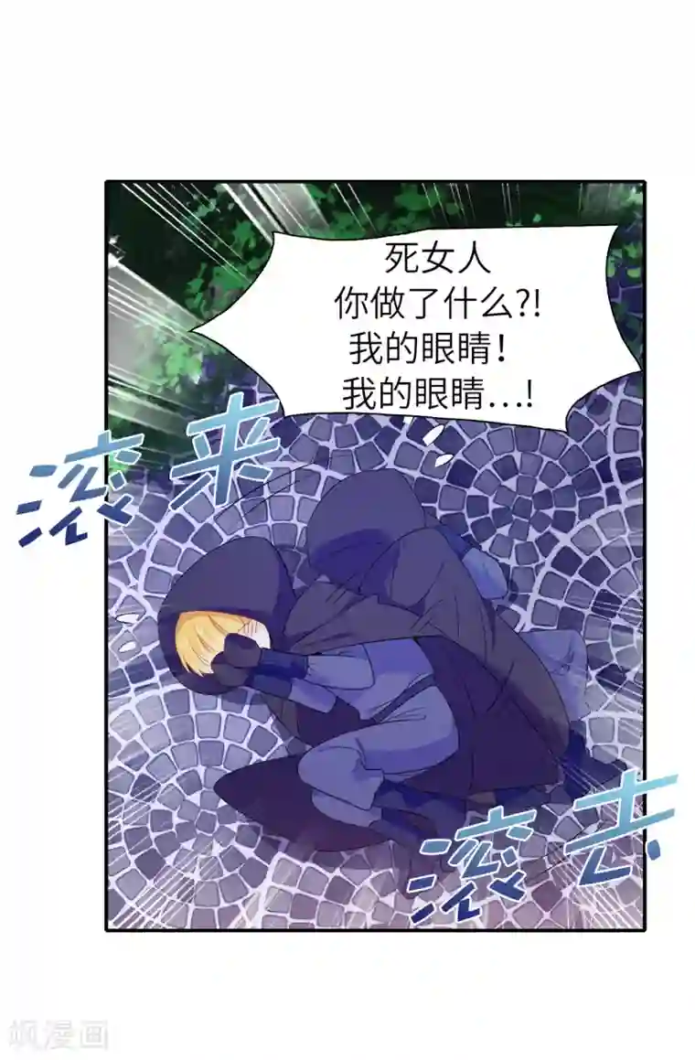 皇子的天降未婚妻第104话 遇险