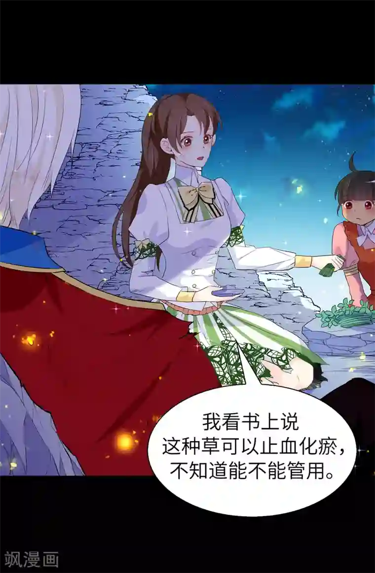 皇子的天降未婚妻第106话 诱敌